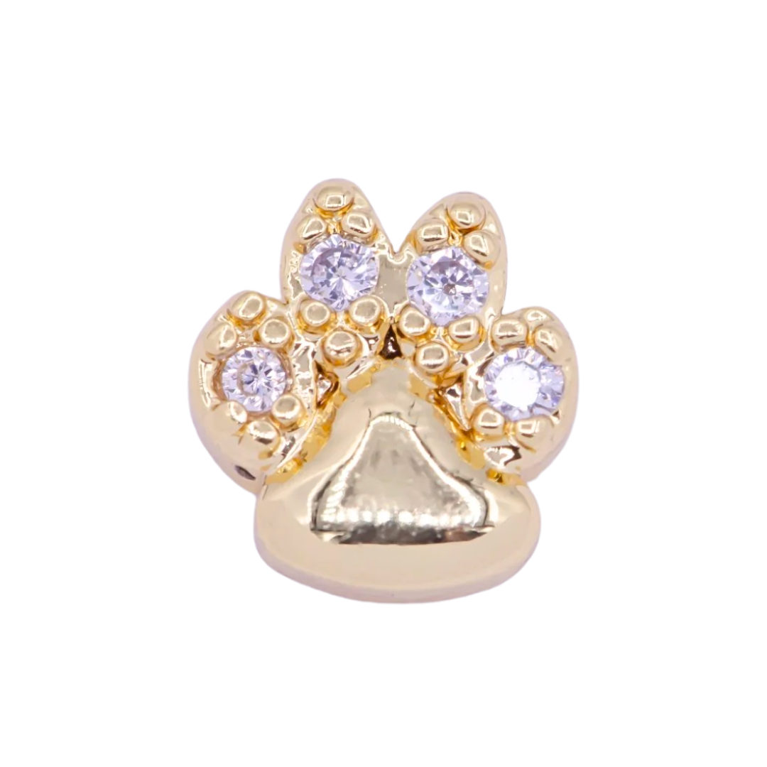 The Charm Locket